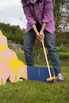 Jeu de croquet graphique