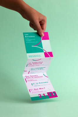 Les envolées plaquettes